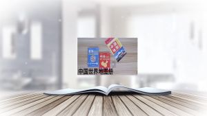 New World Map Book Chinese English world travel map including topographic map history culture finance resource中国地图和世界地图 中国地图册2023新版 世界地图册 全国34省市行政交通旅游地图 世界各国概况 学生学习人文区域自然地地理书籍