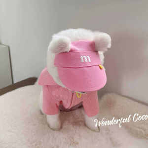 Pet Sun Hat for Small Dogs And Cats InsM Embroidery Baseball Cap Dog Ear Exposure Sun Protection Hat Universal Pet Accessories