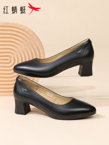 Reddragonfly | Soft Leather Pointed Mid-Heel Comfortable Womens Shoe  Black