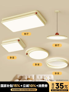 Elegant Modern Minimalist Living Room Ceiling Light Eye Protection Whole House Combination Package North European Style LED Lamp