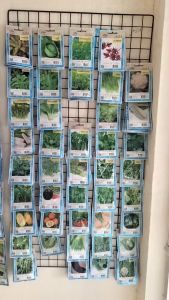 5 ฟรี คละแสดง เมล็ดพันธุ์ ผักกาดเขียวปลี ตราเจียไต๋ เมล็ดพันธุ์ผัก เมล็ดผัก เมล็ดพันธุ์พืช เมล็ดพืช