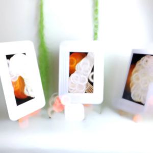 HIASAN DINDING AESTHETIC FLOWERS (20X30CM) DEKORASI KAMAR DINDING DAUN WALLDECOR PAJANGAN DINDING