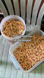 1kg Sky High Classic Pigeon Breeder Mix Flyer Mix All Stages High Protein Bird Feed Pet Food Formula