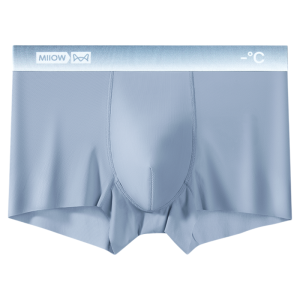Miiow | Mens Ice Silk Briefs Breathable Thin Boxer Shorts Teen Summer Underwear Comfortable Seamless Nylon Fabric MiiOW Cat Man Brand