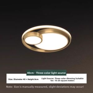 ZHENMEIJU | Modern Simple Warm Romantic LED Ceiling Light