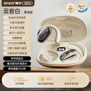 Aiwa AW18 Bluetooth Wireless Earphones with Mic Support Automatic Switching Long Battery Life Waterproof IPX5 Dual Stereo Sound