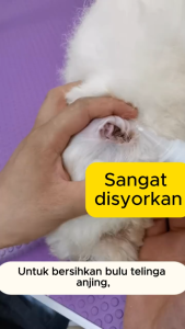 SEO Optimized (High Search Volume) PetClear Pet Ear Powder Hair Removal & Anti Ear Mites - Painless Plucking Dog Cat Ear Cleaner (30g)