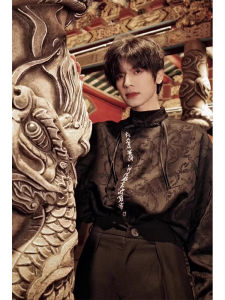 New Chinese Style Mens Long Sleeve Embroidered Shirt Dark Pattern High-End Feeling Han Elements Tang Costume Hanfu Casual Wear