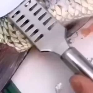 Stainless Steel Fish Scale Knife Scale Scraper Sawtooth Scraping Boning Filleting Cut Scrape Dig Maw Knife