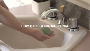 Top Seller KONJAC PORE REFINER SPONGE | Natural and Vegan Material | Eco-Friendly | Gently Exfoliates Skin Cells | Made from Konnyaku | 100% Biodegradable Compostable Sustainable | Deeply Cleanses | Sponge that can be used without Soap | Refines Pores.