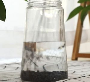 Hạt khử mùi cát Mèo than hoạt tính chai 300gram - Love Pets Shop