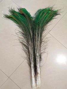 Natural Peacock Feathers Tail 25-110cm Living Room Decorative Items Flower Vase Decoration Real Feathers for Home Decoration