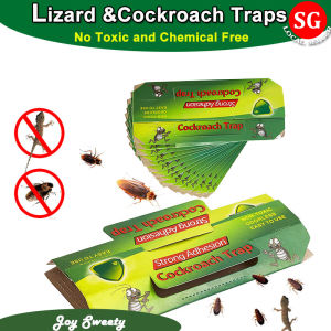 🇸🇬【SG stock】10pcs Roach Trap Lizard Traps Stickers Roach Bait roaches Repellent Roaches Killer Glue sticky Trap Lizard killer Roach Traps Killer roach trap for car