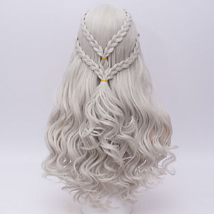 HAIRJOY   Synthetic Hair Cosplay  Wigs Silver Long Braided Costume Cosplay Queen Lolita Wig for Women