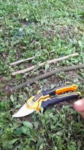 Gunting Buah 8.5" Inch INGCO HPS0601 Pruning Shear Dahan Batang Daun