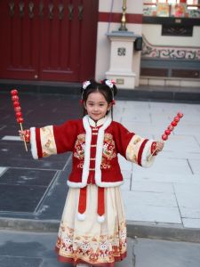 Cheerful Chinese Style Girls Hanfu Ensemble with Embroidery Thin Velvet New Year Celebration Outfit Traditional Red Skirt