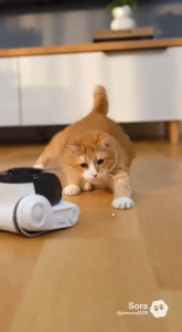 Smart camara WIFI กล้องวงจรปิด 360 องศา กล้องดูสัตว์เลี้ยงอัจฉริยะ เคลื่อนที่ได้ คุยได้ หมุนรอบทิศ ควบคุมทางไกลผ่านมือถือ ใช้งานง่าย ถึกทน