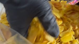 ทุเรียนทอด เกรด C หอม กรอบ อร่อย เคี้ยวเพลิน ผลิตสดใหม่