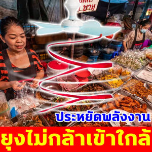 ยุงและแมลงวันไม่กล้าเข้าใกล้ พัดลมไล่แมลงวัน พัดลมทนทานด้วยวัสดุคุณภาพสูง เครื่องไล่แมลงวัน การทำงานที่เงียบ ที่ไล่แมลงวัน มีประสิทธิภาพในการไล่แมลงวันและแมลง ป้องกันแมลงจากอาหาร พัดลมแขวนไล่แมลงวัน  ประหยัดพลังงาน Fly Repellent Fan