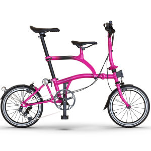 DDLCOL | Ghế An Toàn Trẻ Em Sợi Carbon cho Xe Đạp Gấp Brompton