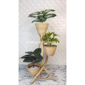 Standing Cover Pot Rotan 3 Susun Zigzag Set Bundling Tanaman Hias Pohon Beringin Dollar Pohon Sri Rejeki Pohon Alocasia Violet Dekorasi Rumah Hiasan Ruang Tamu