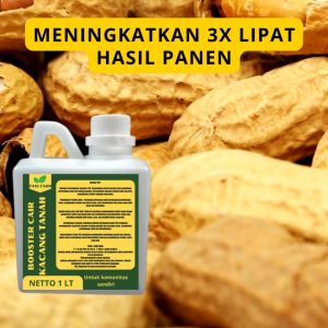Pupuk Semprot Pelebat Kacang tanah Pupuk Pelebat Buah Kacang tanahPupuk Penyubur Kacang tanah ZPT