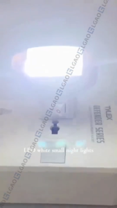 Light Plug Lighting Bulb Switch Mini Led Night Lamp Wall Mounting Bedroom Home Living Room Q-3754 6 White LEDs 5500~6500K AC 220V 1W