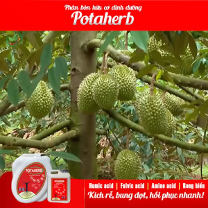Phân Bón Hữu Cơ POTAHERB NHẬP KHẨU Nguyên Đai Nguyên Kiện Từ THỔ NHĨ KÌ. Can 5 Lít ( TẶNG 1 NÓN )