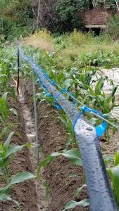 COFOE. 1 inch 2 inch Garden PE Plastic Farm Drip Irrigation Hose/Irrigation Flat Discharge Duct Hose/Agricultural Irrigation Plastic Water Pipe.