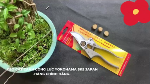 Kéo cắt cành cộng lực SK5 xuất xứ JAPAN [Chính hãng] Kéo cắt cành cây cảnh SK5 Nhật Bản - MOGEE