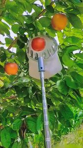 [ส่งฟรี] ตระกร้อสอยผลไม้ สอยฝั่งและสอยกรอย ตะกร้อ น้ำมันสด ที่เก็บผลไม้ สอยมะม่วง หัวตะกร้อผ้าสำหรับสอยเก็บผลไม้