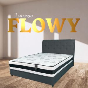 [COMBO DEAL]  LUCREZIA FLOWY 12" US Spine Support Technology Spring Mattress with Divan Set  / Queen / King Size