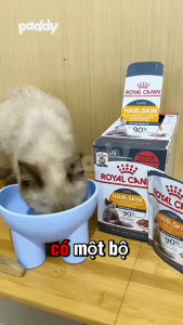 Pate Cho Mèo Trưởng Thành Royal Canin Beauty Hair & Skin Dưỡng Lông Da 85g