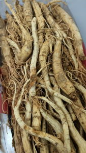 长白山人参 38g China Chang Bai Mountain Ginseng 中国长白山人参 38g 中国 长白 人参 参 蔘