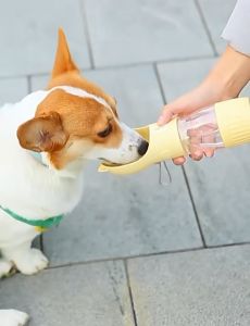 Pet Outdoor Water Drinking Bottle Dispenser