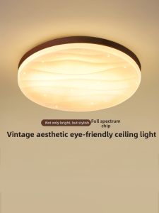 DGY | Modern & Simple LED Ceiling Light for Bedroom