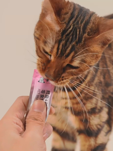 Dulepig ในรูปแบบขนมแมวเลีย VF core L-lysine อุดมด้วยโปรตีนสูง เสริมสุขภาพแมวทุกวัย รสชาติอร่อยถูก เสริมวิตามิน อาหารแมวเลีย ขนมแมวเลีย ขนมแมวมีโอ อาหารเปียกแมว