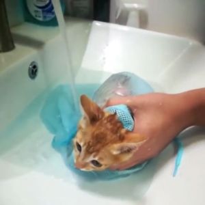 Anti-Scratch Bite Cat Grooming Bath Bag Cat Washing Bag Biting Restraint for Pet Bathe Nail Trimming Use Bag