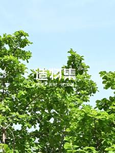 Cốc Đựng Nước Đẹp Nhìn Bền Nhiệt