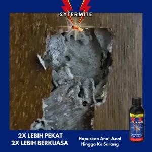 【Strong and effective preventing termites】SYNTERMITE - PENGHAPUS ANAI-ANAI
