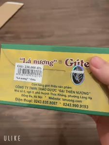 Lá Nương Gute - đào thải muối urat