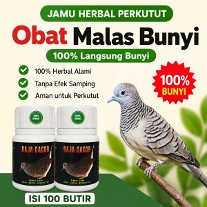 PROMO!!! RAJA GACOR PREMIUM JAMU 100 BUTIR PIL PENGGACOR KUTUT penggacor perkutut puter tekukur suplementobat cepat gacor jamu perkutut bangkok dan lokal malas bunyi