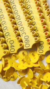 เป้าหมายสำหรับผู้เสียงหู หมู วัว แพะ ป้ายติดแท็กหูสัตว์ทำสัญลักษณ์ ป้ายหูสัตว์ ป้ายหูสุกร อุปกรณ์เสริมฟาร์ม 100 ป้าย