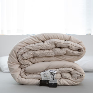 Light Soft Warm Cotton Quilt for Spring and Autumn Winter Quilt Winter Quilt Duvet Insert Single Double Summer Thin Silk Cotton Quilt