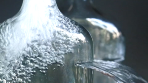 ขวดเลี้ยงปลากัดทรงแบน ขวดฟอร์มปลา ขวดโชว์ปลากัด บากเเล้ว ขนาดพอดี 1 ตัว