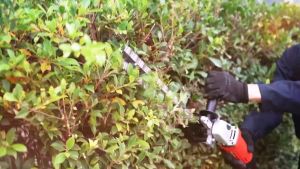 หัวตัดแต่งพุ่มไม้ สำหรับ 4 นิ้ว เพื่อใช้กับเครื่องเจียร และเปลี่ยนเครื่องเจียรไปยังเครื่องตัดแต่งพุ่มไม้