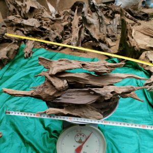 kayu rentek 1kg paludariun aquascape