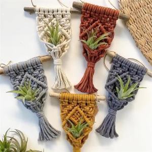 Various Colours rame Air Plant Holder Boho Style Cotton Hand Weaving Hanging Planter For Home Decor Living Room Decoration