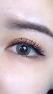 False Eyelashes，1Box 60Pcs Individual Cluster Eyelashes Hot Melt Wool Grafting 10D 0.1mm Thickness Natural Style Soft Look DIY Eyelash Extension Set with Glue Individual Eyelash