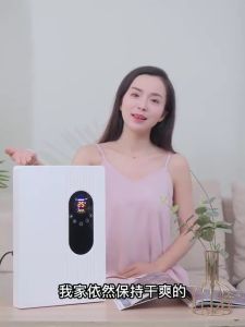 Dehumidifier ION PUREAIR Dehumidifier Air Purifier D75